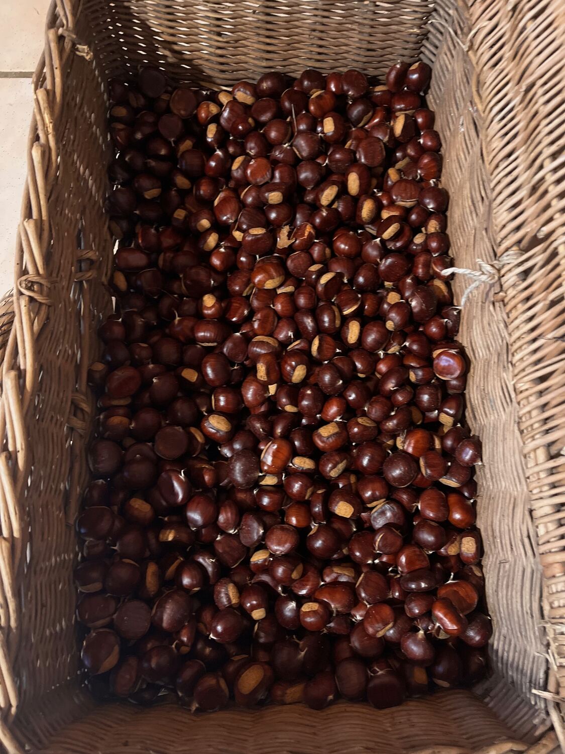 Panier de châtaignes