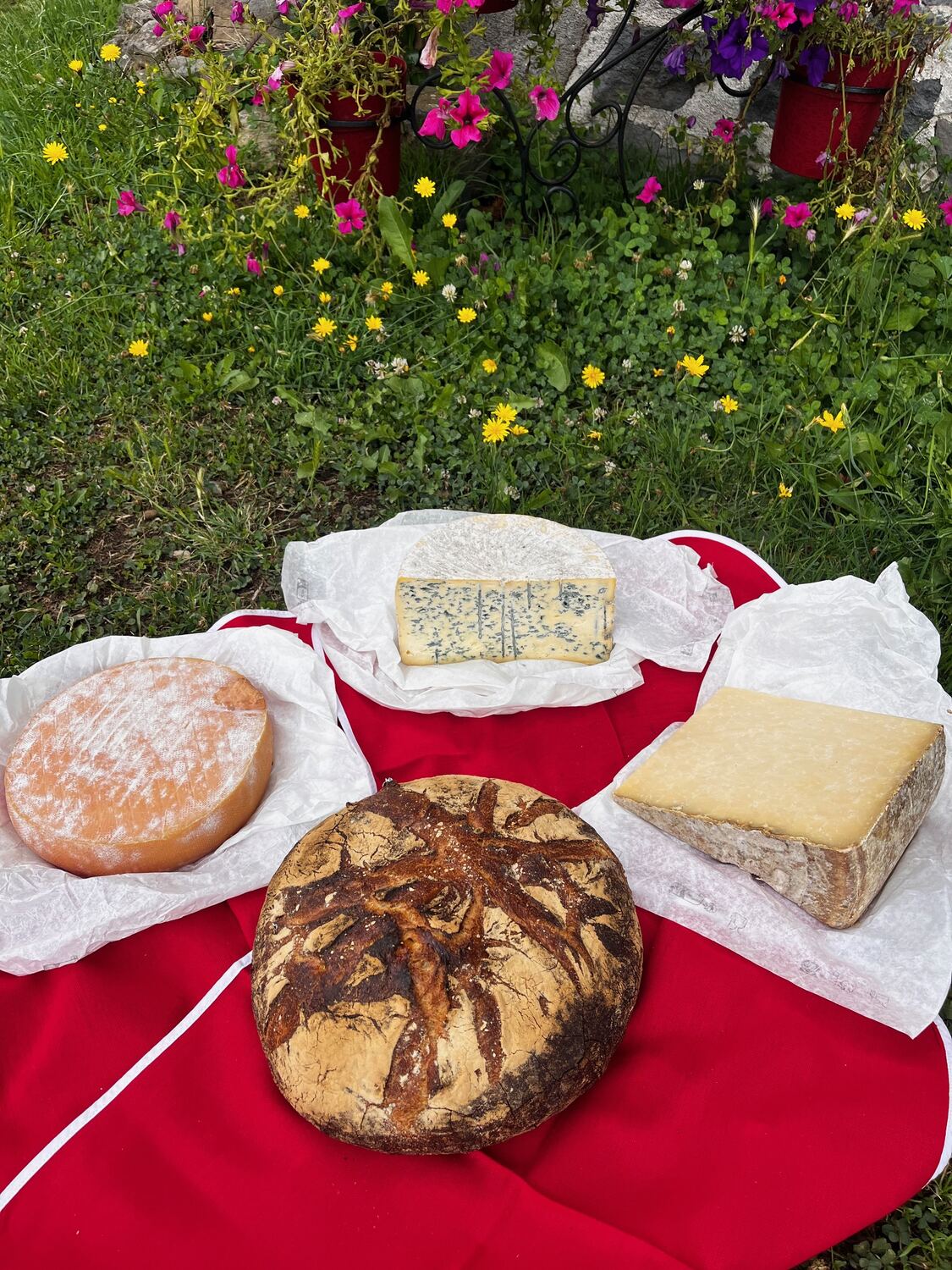 Plateau de fromages auvergnats
