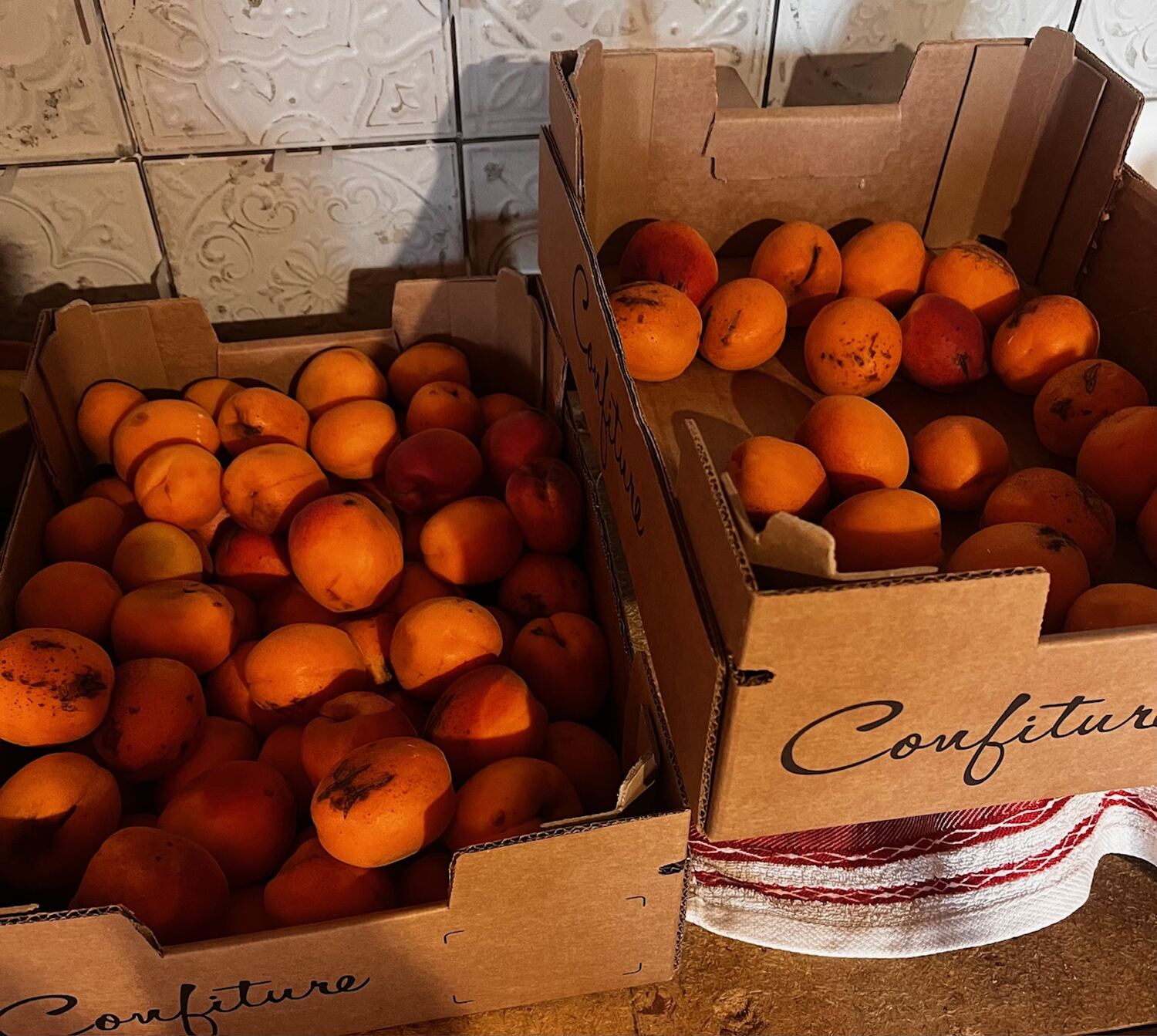 Cageots d'abricots pour la confiture maison