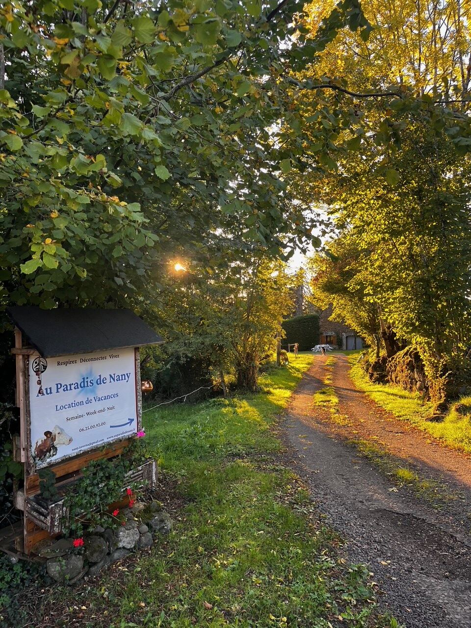 Le chemin d'accès au gîte Au Paradis de Nany, sous les arbres