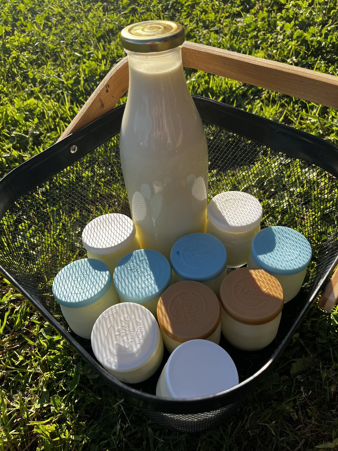 Yaourts maison et lait frais de la ferme